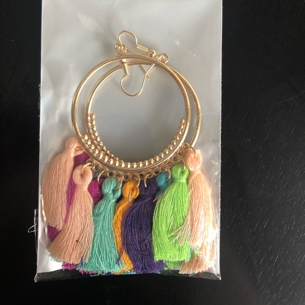 Rainbow tassel earrings